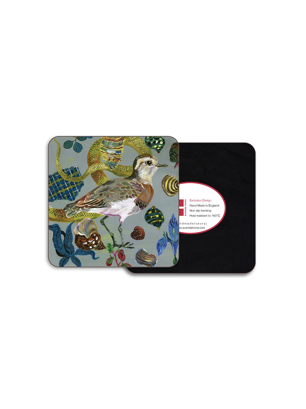 Caspian Plover Coaster
