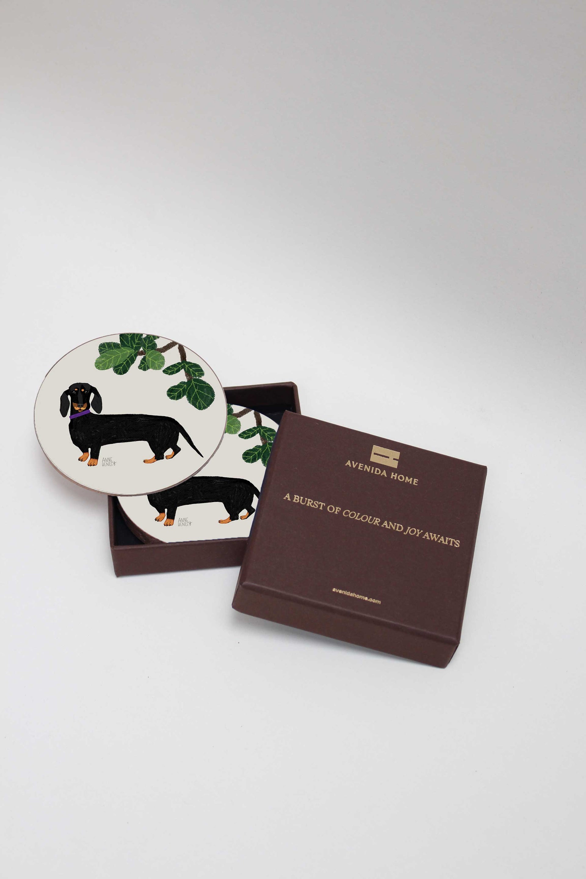Dogs Dachshund Set of 4 Coasters