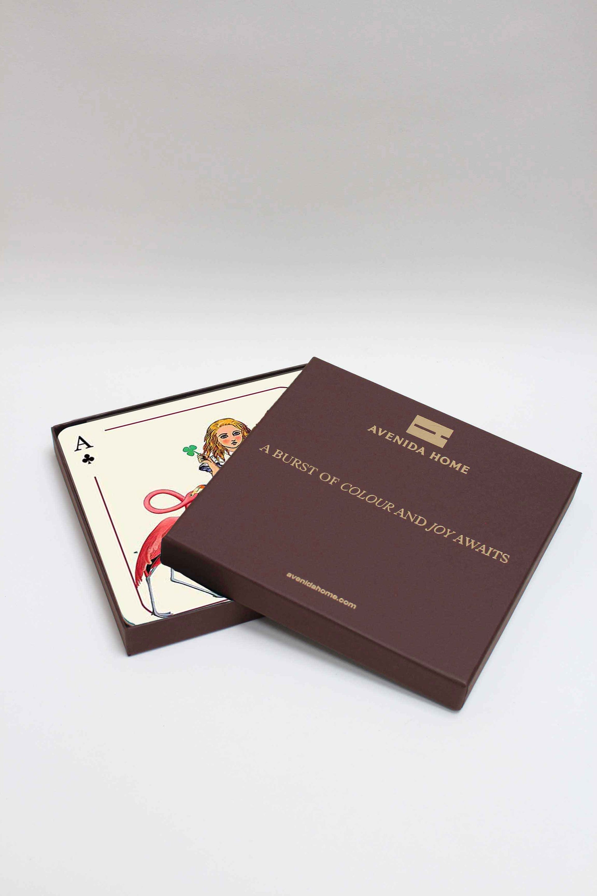 Alice in Wonderland Set of 4 Placemats