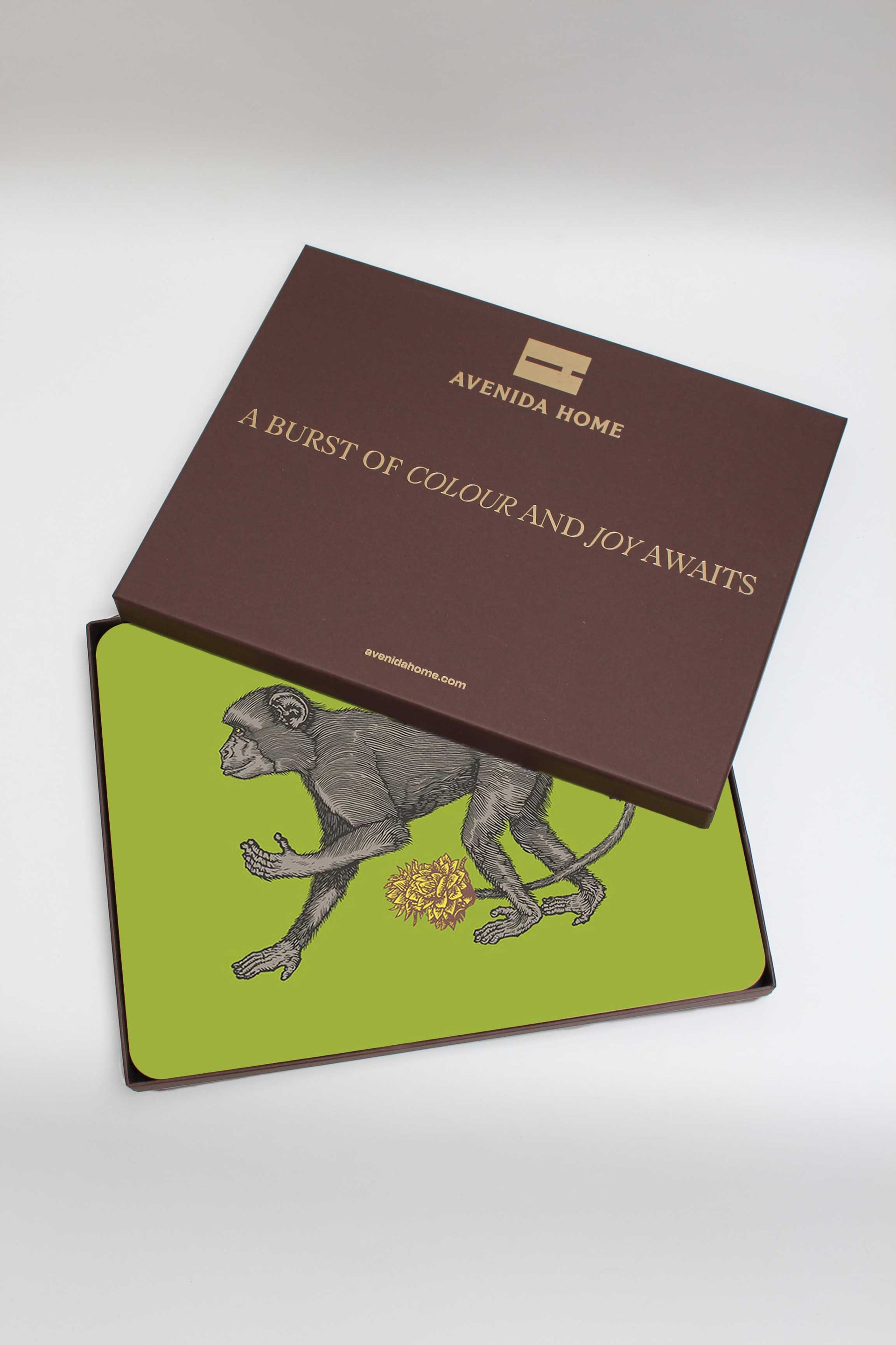 Monkey Set of 4 Table Mats