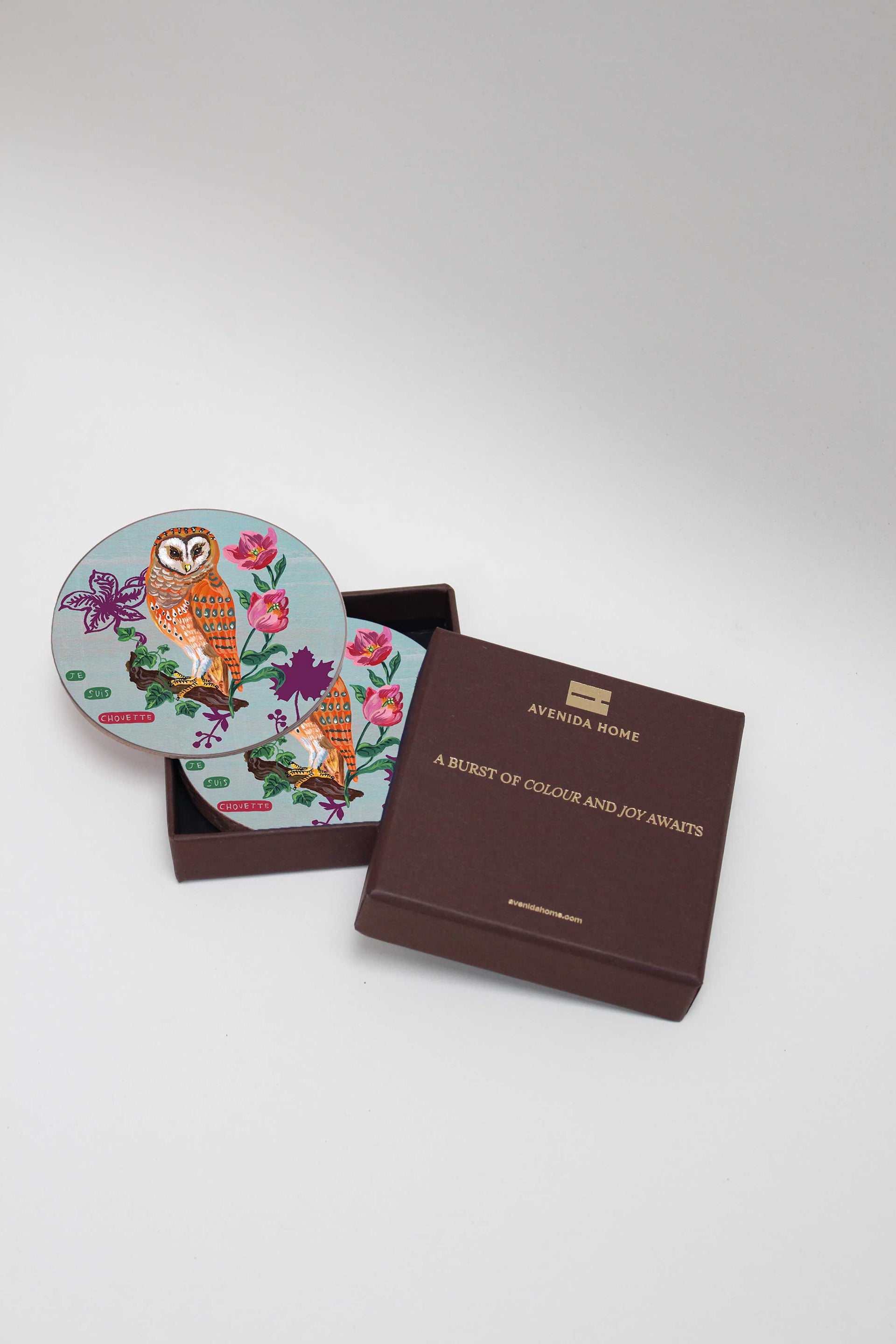 Owls and Squirrels Set of 4 Coasters