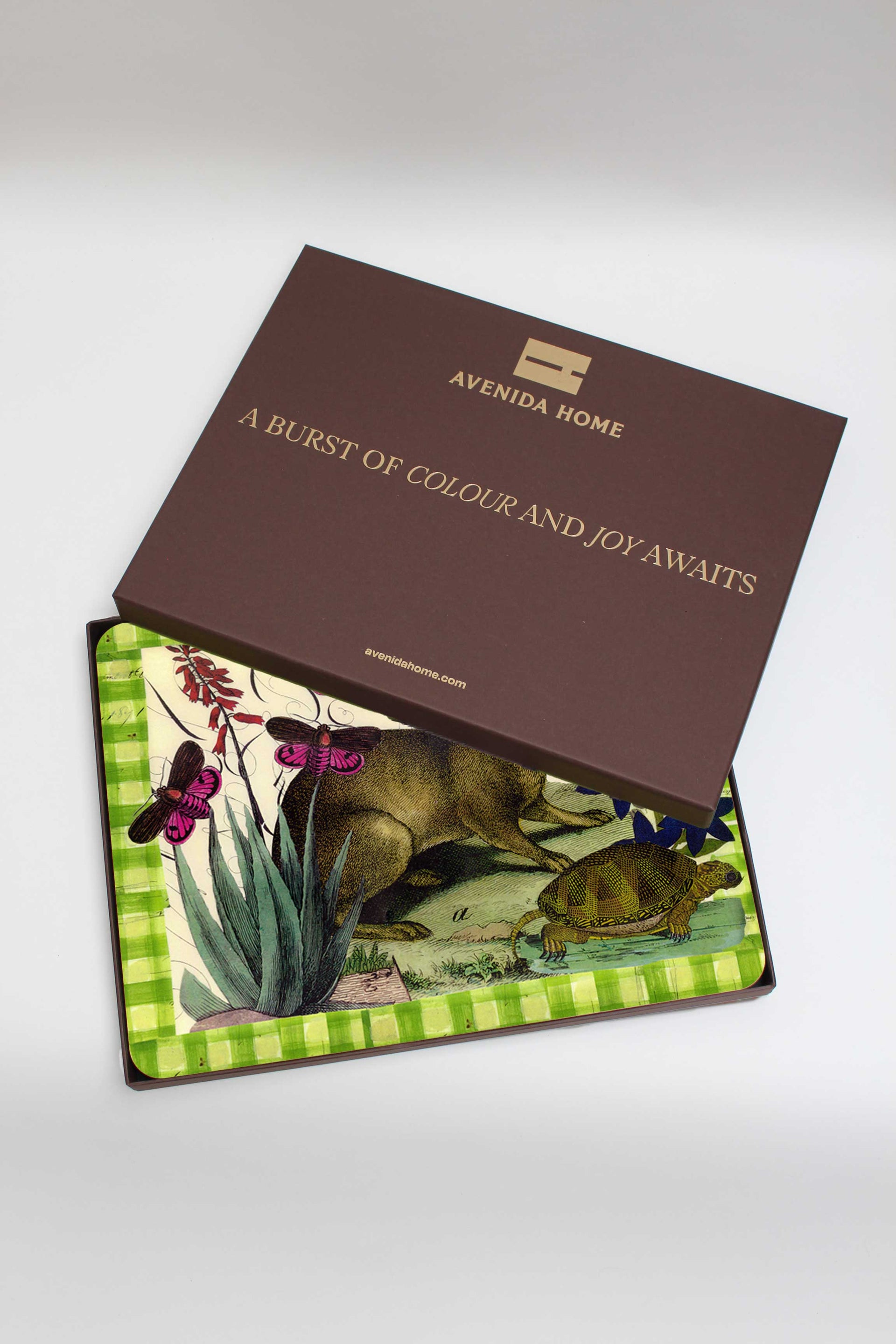 Tortoise and Hare Set of 4 Table Mats