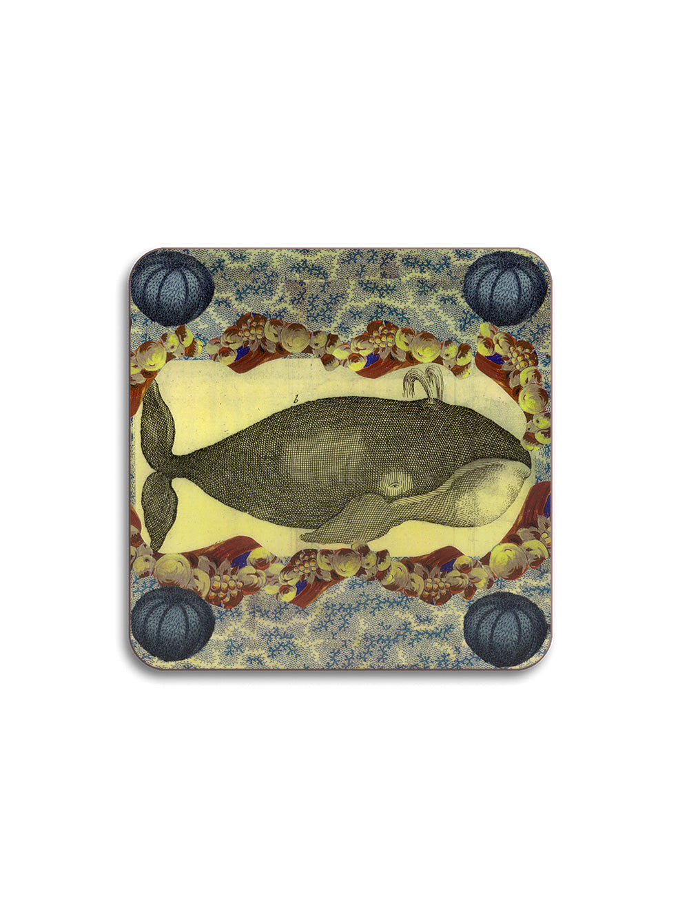 Whale Urchins Square Coaster